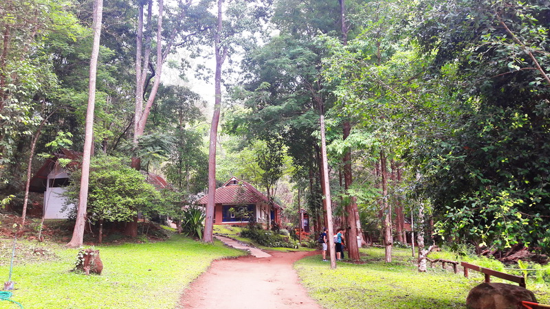 mok fa waterfall, mork fa waterfall, chiang mai attractions