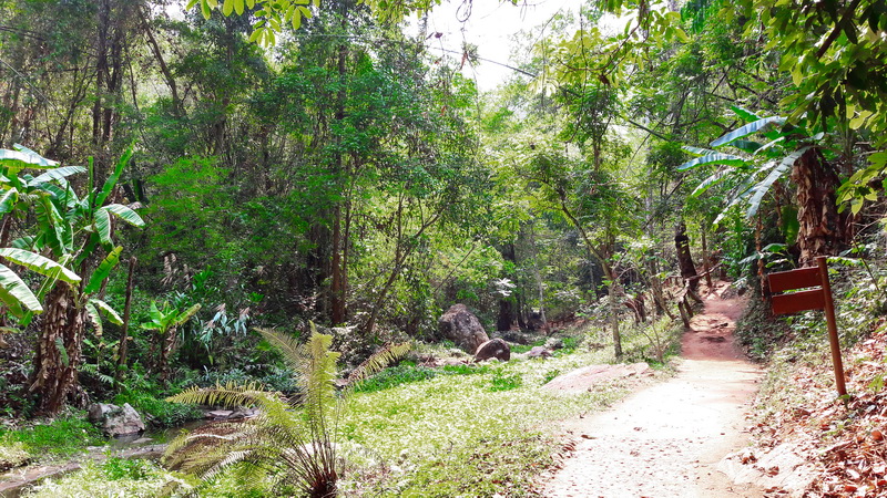 mok fa waterfall, mork fa waterfall, chiang mai attractions