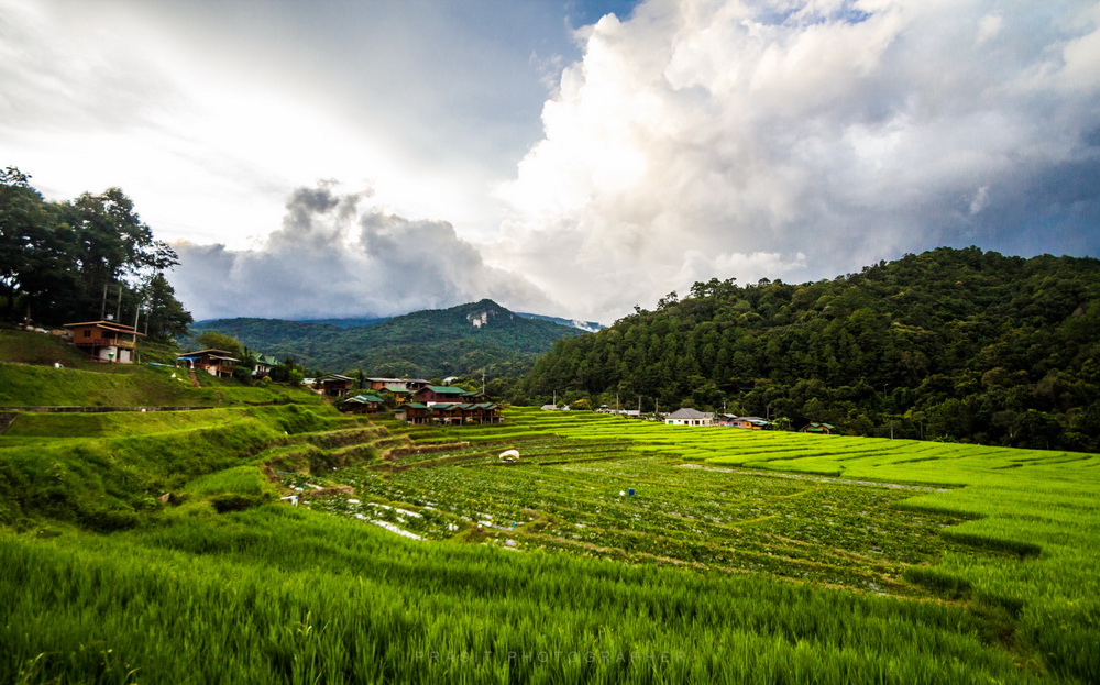 doi inthanon national park, inhanon, doi inthanon, inthanon national park