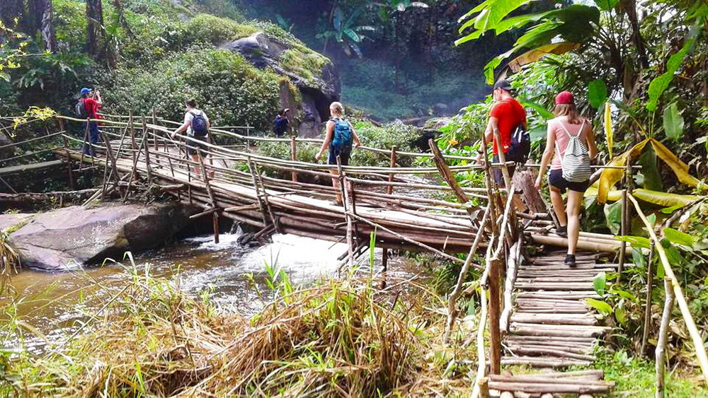 doi inthanon national park, inhanon, doi inthanon, inthanon national park