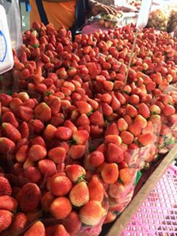 kad luang, warorot market, chiang mai market