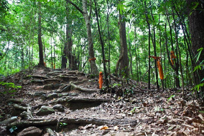 doi suthep-pui national park, national parks in chiang mai, chiang mai national parks, attractions national park in chiang mai, doi suthep-pui, doi suthep-pui mountain