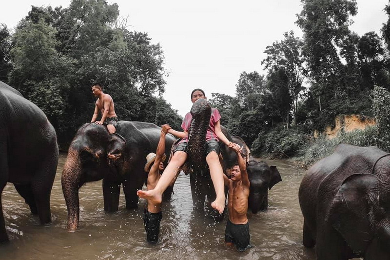 mae rim elephant home, maerim elephant home, mae rim elephant camp, maerim elephant camp, maerim elephant chiang mai, mae rim elephant chiang mai