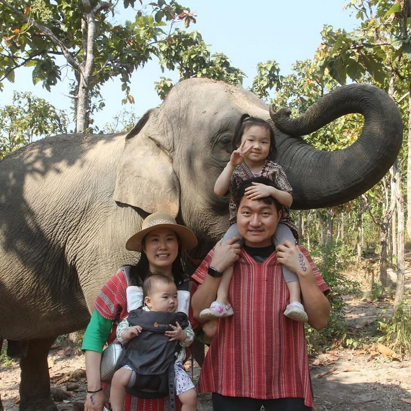 mae rim elephant home, maerim elephant home, mae rim elephant camp, maerim elephant camp, maerim elephant chiang mai, mae rim elephant chiang mai