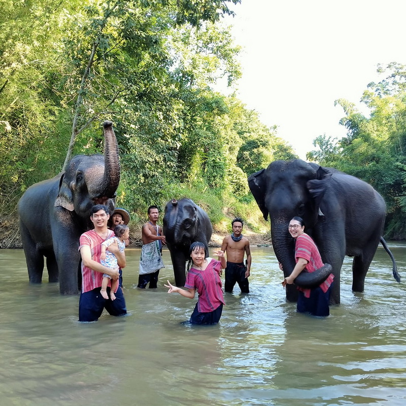 mae rim elephant home, maerim elephant home, mae rim elephant camp, maerim elephant camp, maerim elephant chiang mai, mae rim elephant chiang mai