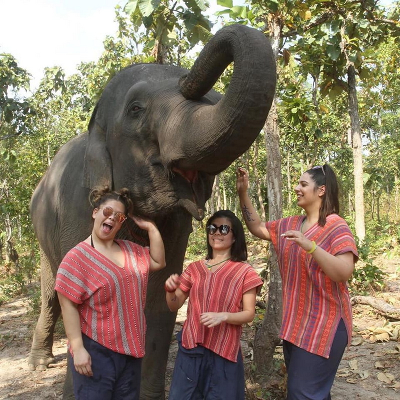 mae rim elephant home, maerim elephant home, mae rim elephant camp, maerim elephant camp, maerim elephant chiang mai, mae rim elephant chiang mai