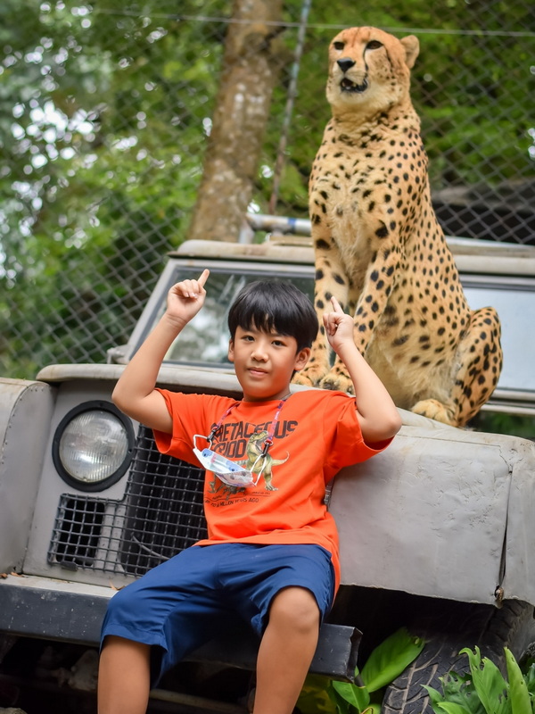 tiger kingdom, chiang mai tiger kingdom, chiangmai tiger kingdom, tiger kingdom chiang mai, tiger kingdom chiangmai