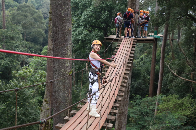 jungle flight chiang mai, jungle flight in chiang mai, jungle flight zipline chiang mai, zipline jungle flight chiang mai, zipline jungle flight, jungle flight adventure chiang mai, jungle flight zipline adventure