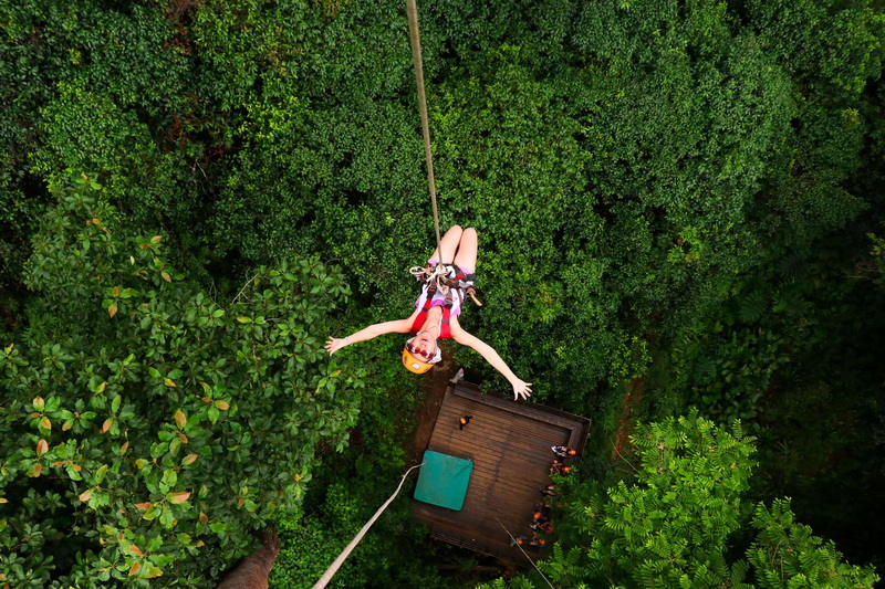 jungle flight chiang mai, jungle flight in chiang mai, jungle flight zipline chiang mai, zipline jungle flight chiang mai, zipline jungle flight, jungle flight adventure chiang mai, jungle flight zipline adventure