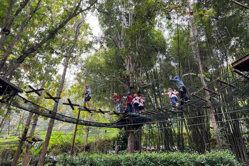 phoenix zipline adventure, phoenix zipline, phoenix zipline chiang mai, phoenix adventure park, phoenix adventure park chiang mai, phoenix adventure chiang mai