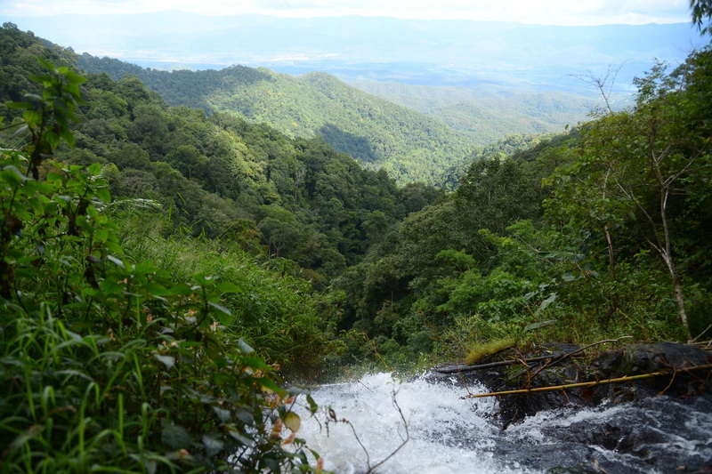 srilanna national park, sri lanna national park, silanna national park, si lanna national park, sri lanna, si lanna