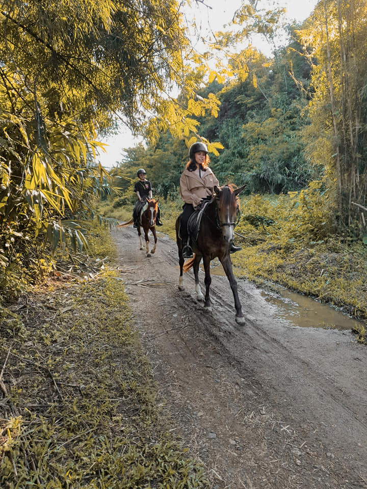 chiang mai horse riding, chiang mai horseback riding, chiang mai horse riding tour, chiang mai horseback riding tour, chiang mai horse riding adventure, chiang mai horseback riding adventure