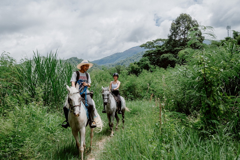 chiang mai horse riding, chiang mai horseback riding, chiang mai horse riding tour, chiang mai horseback riding tour, chiang mai horse riding adventure, chiang mai horseback riding adventure