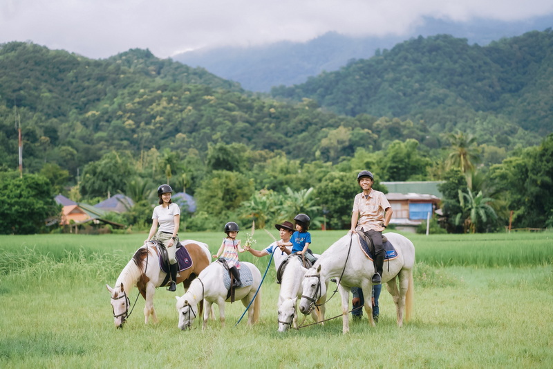 chiang mai horse riding, chiang mai horseback riding, chiang mai horse riding tour, chiang mai horseback riding tour, chiang mai horse riding adventure, chiang mai horseback riding adventure