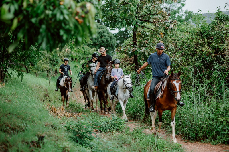 chiang mai horse riding, chiang mai horseback riding, chiang mai horse riding tour, chiang mai horseback riding tour, chiang mai horse riding adventure, chiang mai horseback riding adventure