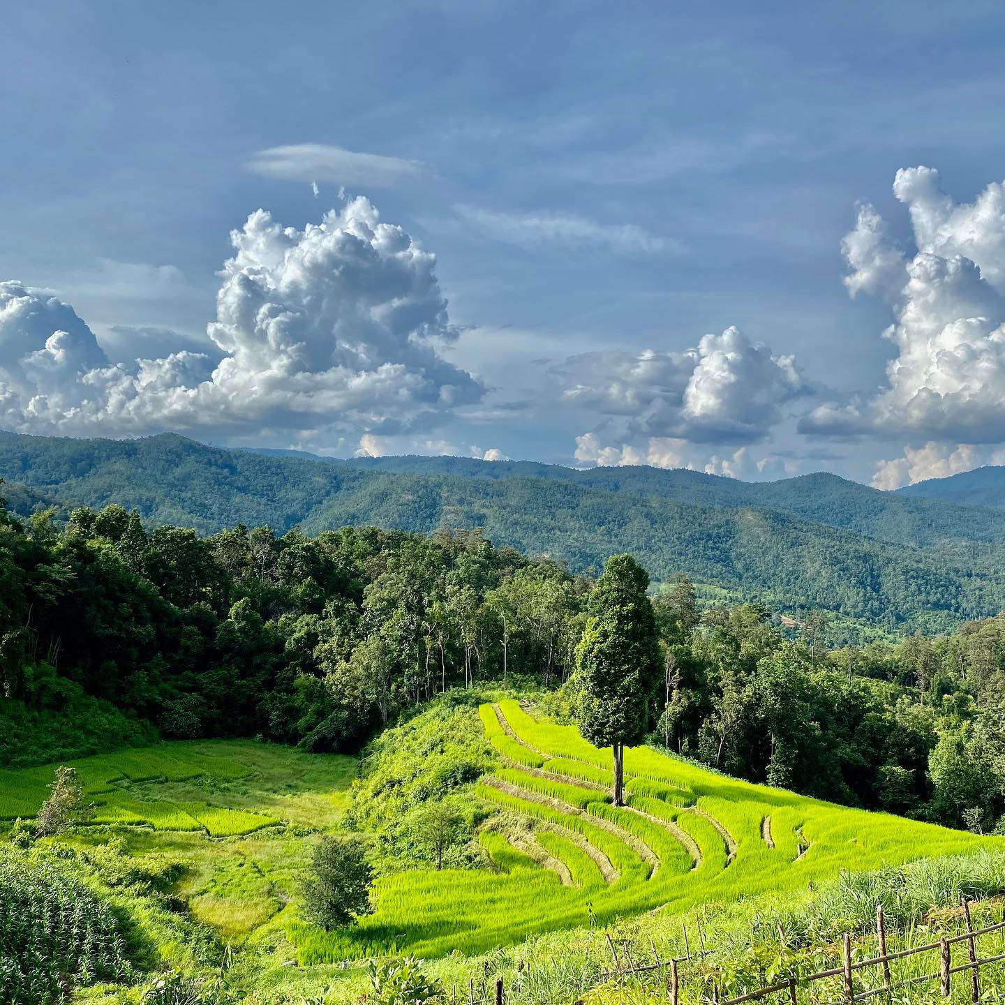 one day trek mae wang, day trek mae wang, one day terk maewang and elephant care, one day terk mae wang and elephant care, trek mae wang, trekking in mae wang