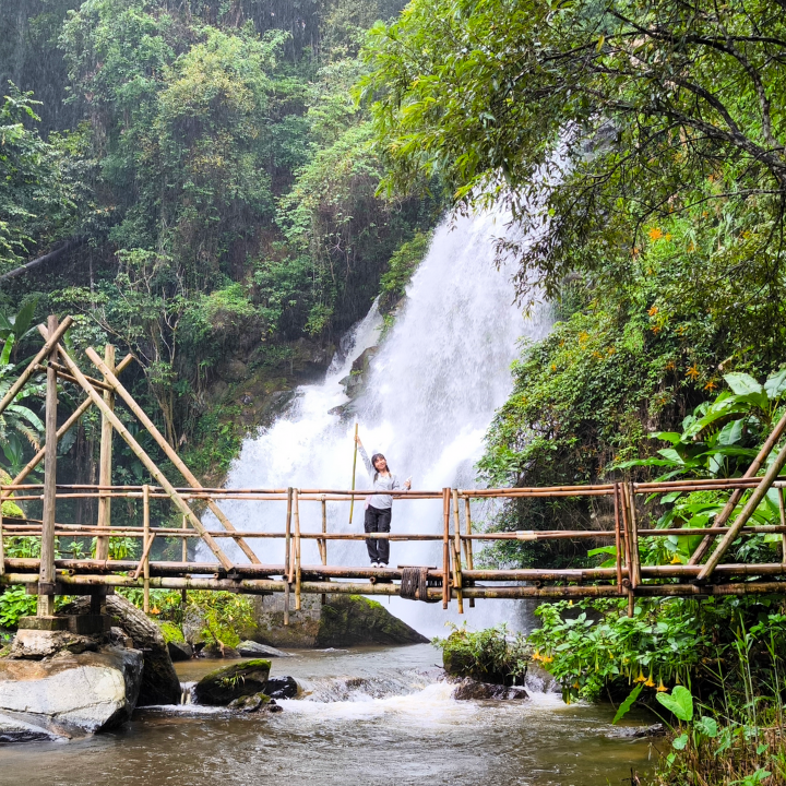 elephant observation and hiking doi inthanon, elephant observation and trekking doi inthanon, elephant observation and doi inthanon hike, elephant observation and doi inthanon trek, elephant surveying and doi inthanon hiking, doi inthanon hiking, doi inthanon trekking