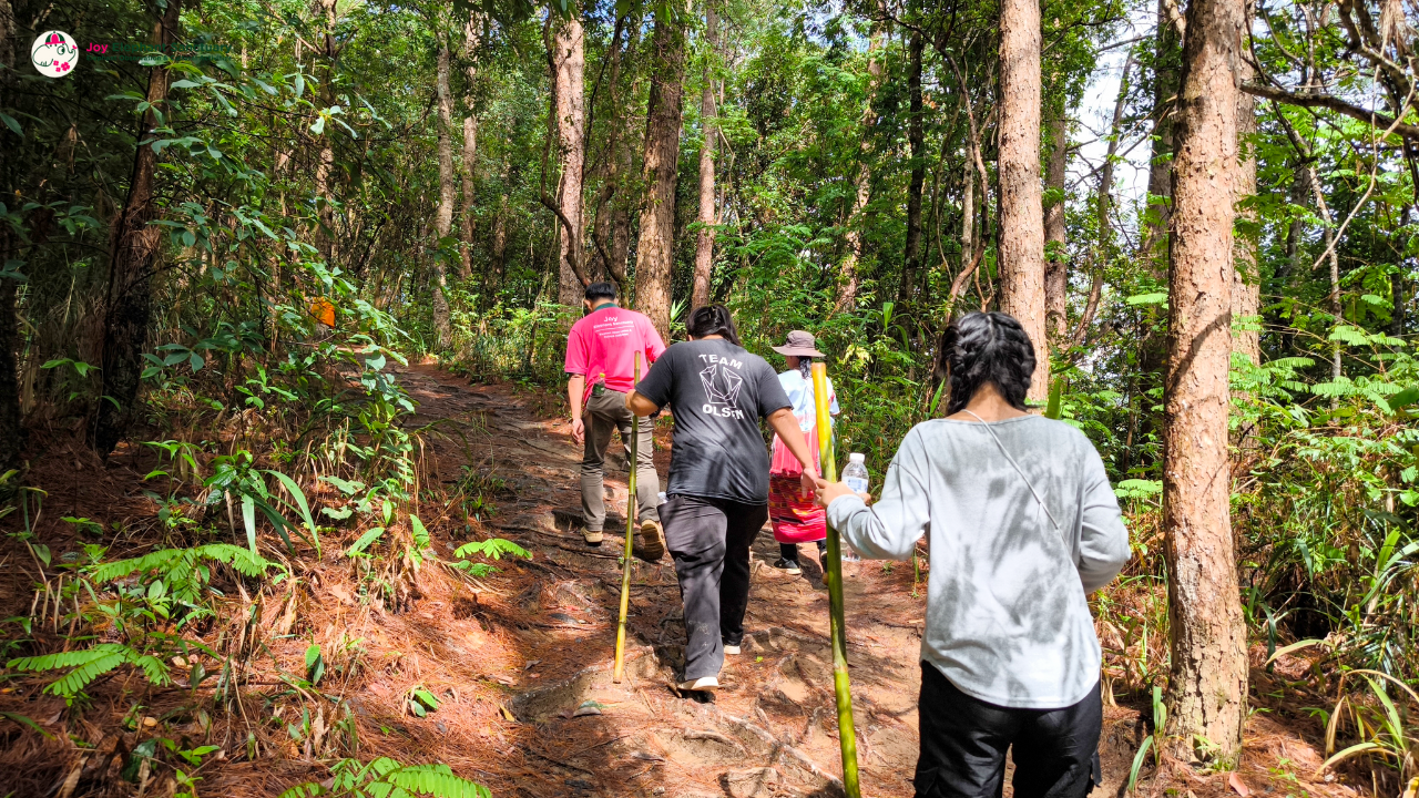 elephant observation and hiking doi inthanon, elephant observation and trekking doi inthanon, elephant observation and doi inthanon hike, elephant observation and doi inthanon trek, elephant surveying and doi inthanon hiking, doi inthanon hiking, doi inthanon trekking