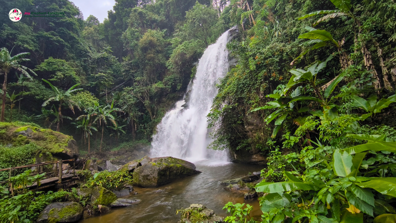 elephant observation and hiking doi inthanon, elephant observation and trekking doi inthanon, elephant observation and doi inthanon hike, elephant observation and doi inthanon trek, elephant surveying and doi inthanon hiking, doi inthanon hiking, doi inthanon trekking