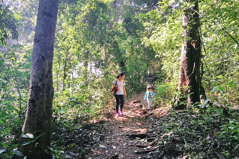 elephant observation and hiking doi inthanon, elephant observation and trekking doi inthanon, elephant observation and doi inthanon hike, elephant observation and doi inthanon trek, elephant surveying and doi inthanon hiking, doi inthanon hiking, doi inthanon trekking