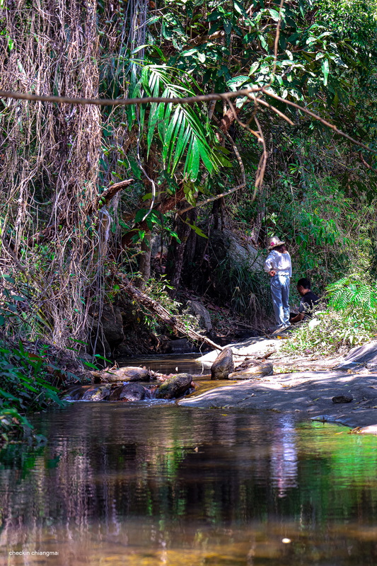 huay kaew waterfall, huai kaew waterfall, huaykaew waterfall, huaikaew waterfall, huay kaew waterfall chiang mai