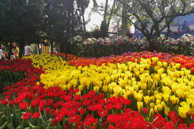 nong buakhad, nong buakhad park, nongbuakhad, nongbuakhad park