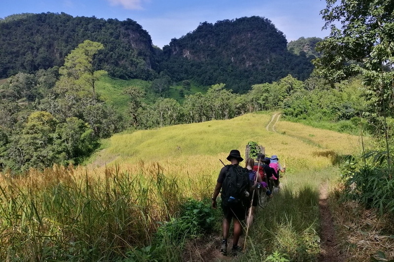 ban muang pam, baan muang pam, muang pam village