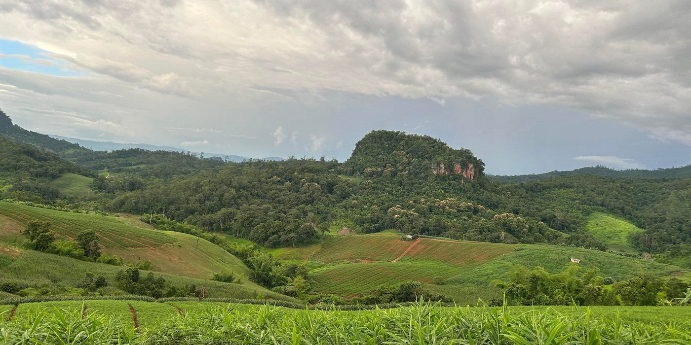 ban pha mon, ban pha mon village, pha mon village, ban pha mon mae hong son, ban phamon, ban pha mon mapha, ban huai pha mon, huai phamon, phamon village ban pha mon, ban pha mon village, pha mon village, ban pha mon mae hong son, ban phamon, ban pha mon mapha, ban huai pha mon, huai phamon, phamon village
