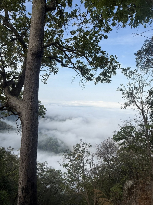 doi san fah view point, namtok mae surin national park, mae surin national park, namtok mae surin, namtok mae surin forest park