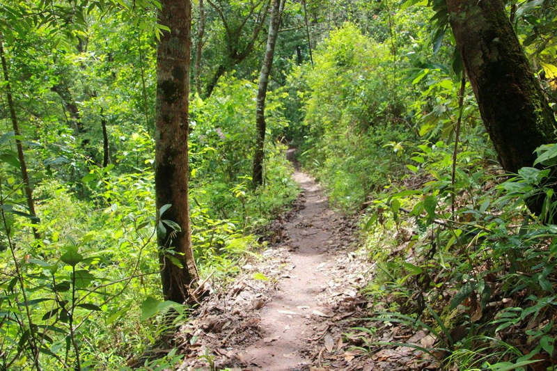 mae sakut nature trail, namtok mae surin national park, mae surin national park, namtok mae surin, namtok mae surin forest park