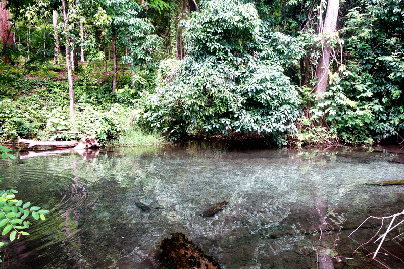 sai ngam hot spring, sai ngam natural hot spring, sai ngam natural mineral hot spring, sai ngam mineral hot spring sai ngam hot spring, sai ngam natural hot spring, sai ngam natural mineral hot spring, sai ngam mineral hot spring