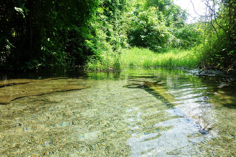 sai ngam hot spring, sai ngam natural hot spring, sai ngam natural mineral hot spring, sai ngam mineral hot spring sai ngam hot spring, sai ngam natural hot spring, sai ngam natural mineral hot spring, sai ngam mineral hot spring
