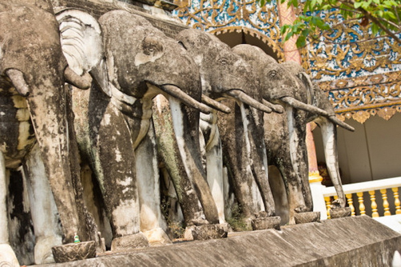 wat chiang man, chiang man temple, wat chiang mun, chiang mun temple, important temples in chiang mai, chiang mai tourist attractions wat chiang man, chiang man temple, wat chiang mun, chiang mun temple, important temples in chiang mai, chiang mai tourist attractions
