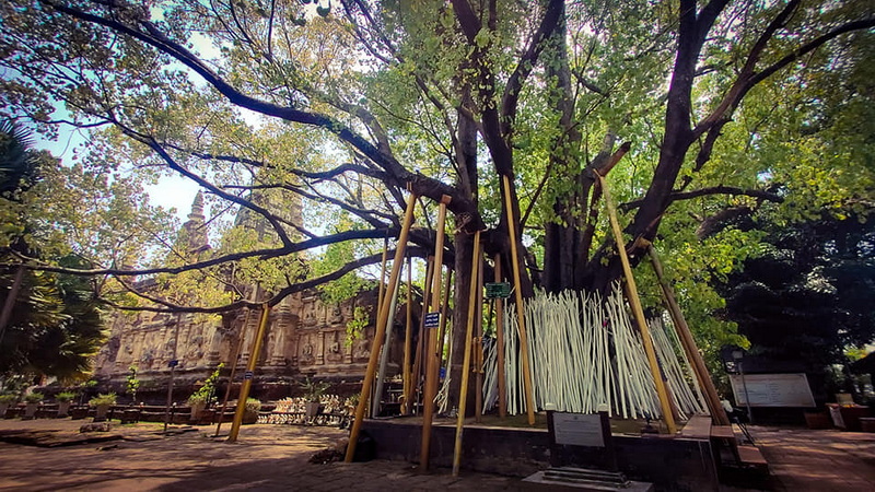 wat jed yod, jed yod temple, wat chet yod, chet yod, wat jedyod, jedyod temple, wat chetyod, chetyod, wat chet yod phra aram luang