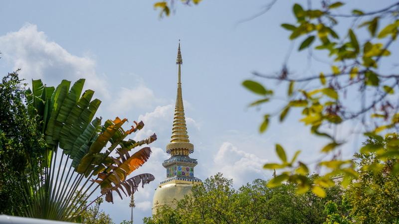 wat suan dok, suan dok temple, wat suandok, suandok temple, wat suan dok chiang mai, suan dok temple chiang mai, wat suandok chiang mai, suandok temple chiang mai, wat buppharam, buppharam temple