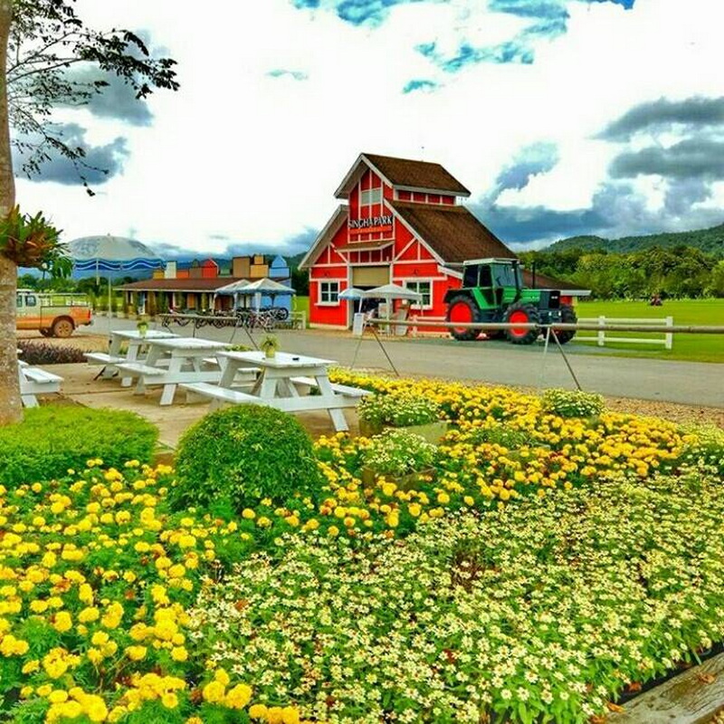 singha park, singha park chiang rai, singha park chiangrai