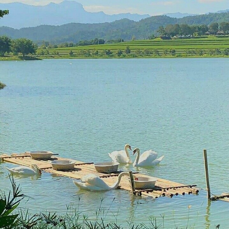 singha park, singha park chiang rai, singha park chiangrai