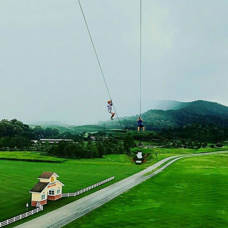 singha park, singha park chiang rai, singha park chiangrai