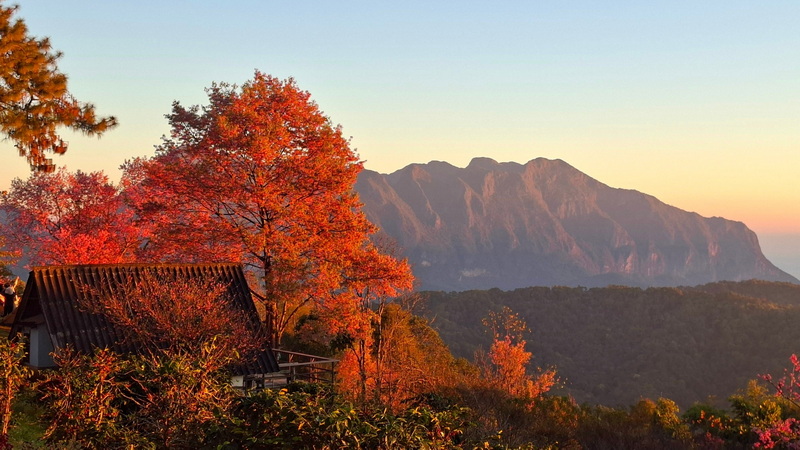 doi luang chiang dao, doi luang chiangdao, doi chiang dao, doi luang chiang dao forest park, doi chiang dao forest park, chiang dao wildlife sanctuary, doi luang chiang dao trek, doi luang chiangdao trek, doi chiang dao trek