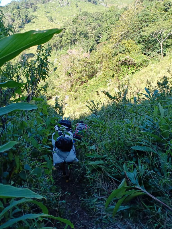doi luang chiang dao, doi luang chiangdao, doi chiang dao, doi luang chiang dao forest park, doi chiang dao forest park, chiang dao wildlife sanctuary, doi luang chiang dao trek, doi luang chiangdao trek, doi chiang dao trek