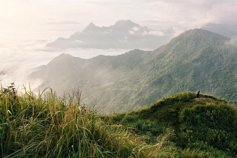 phu chi fa, phu chi fa forest park, phu chi fa national park, phu chi fah, phu chi fah forest park, phu chi fah national park