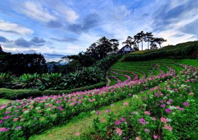 huai nam dang national park, huai nam dung national park, huay nam dang national park, huay nam dung national park, huai nam dang, huay nam dang