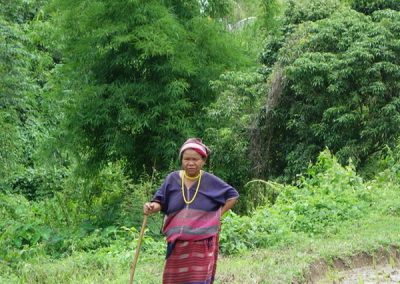 tour doi Inthanon, tour doi Inthanon national park, day tour doi Inthanon national park, budget tour doi Inthanon national park, day tour doi Inthanon, budget tour doi Inthanon, join with group tour doi Inthanon, join with group tour doi Inthanon national park