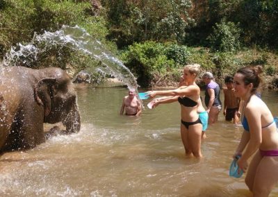 one day trek mae wang, day trek mae wang, one day terk maewang and elephant care, one day terk mae wang and elephant care, trek mae wang, trekking in mae wang