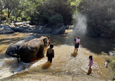 one day trek mae wang, day trek mae wang, one day terk maewang and elephant care, one day terk mae wang and elephant care, trek mae wang, trekking in mae wang