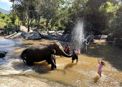 one day trek mae wang, day trek mae wang, one day terk maewang and elephant care, one day terk mae wang and elephant care, trek mae wang, trekking in mae wang