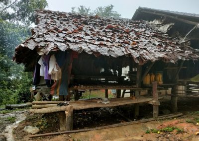 one day trek mae wang, day trek mae wang, one day terk maewang and elephant care, one day terk mae wang and elephant care, trek mae wang, trekking in mae wang