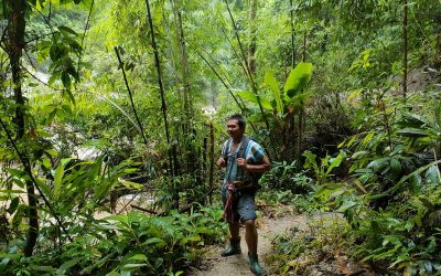 Trekking in Mae Wang