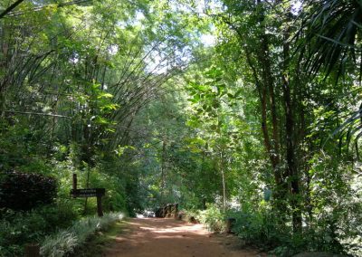 chae son national park, unseen lampang day tour, tour wat chalermprakiat, lampang day tour, budget tour to lampang, tour lampang all highlight