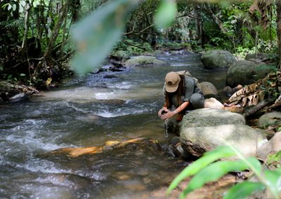 chiang mai coffee farm tour, coffee farm tour in chiang mai, chiangmai coffee farm tour, tour coffee farm chiang mai